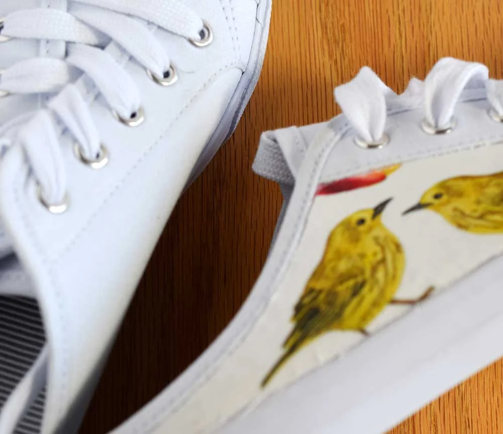 shoes6.jpg
