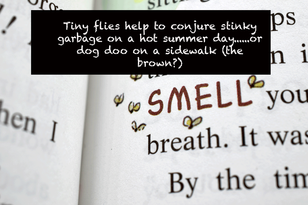font5.gif