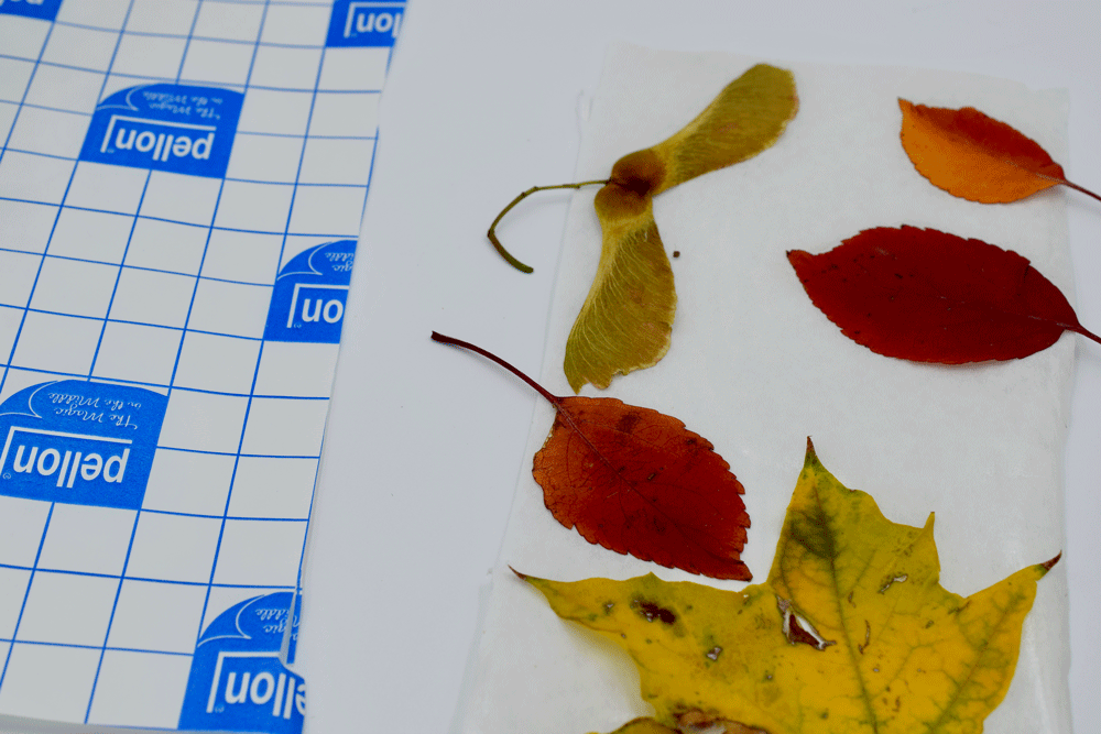 Next, I added some Pellon stick and tear stabilizer to the back of the leaf to make it more sturdy for stitching. I was also hoping it would help to prevent the leaf from curling when it started to dry.