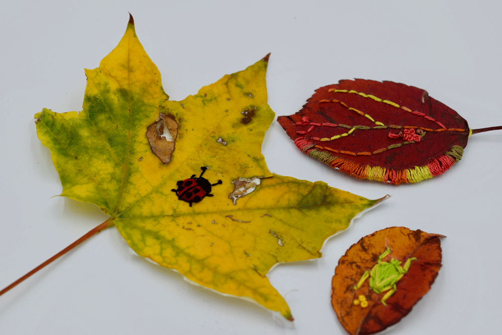 After I attached the leaf onto the stabilizer I cut around the leaf and I added some freehand embroidery of some cute little bugs on the first two leaves, then I added some veins in BACKSTITCH on the third leaf plus some edging around one side. I really loved the results.