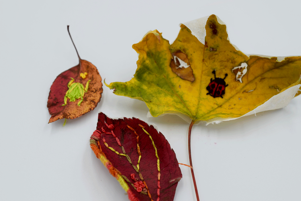 The leaves began to curl and shrivel. I still liked them but next I wanted to try to preserve them by ironing them between wax paper.