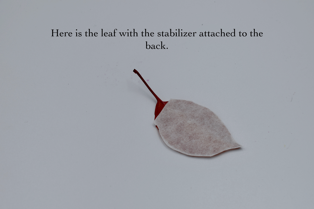 leaf6.gif