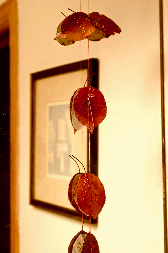 I strung them on a piece of thread and hung them in the bathroom. I kind of liked the rustic look of them but they were really difficult to work with because they were so brittle. I was wondering if dipping them in paraffin or bees wax would make them a little more pliable but still preserve them. Then it SNOWED and temporarily ruined my fun. Foiled again by Colorado October snow!!!!!! I remembered I had some fake decorative leaves so I gave that a stab.