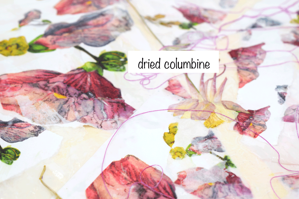 I just love that delicate dried Columbine flower. I also tore up some of the white tissue paper and added strips in some of the spaces that looked like they needed some balance. It is always a good idea to walk away and come back to a project to gain perspective. Taking a photo also helps. My mom just reminded me of the mirror trick. Hold your work in the mirror for yet another fresh perspective.