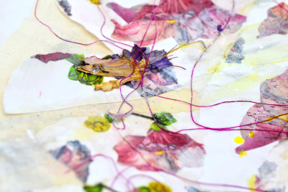 Clumps of dried flowers….