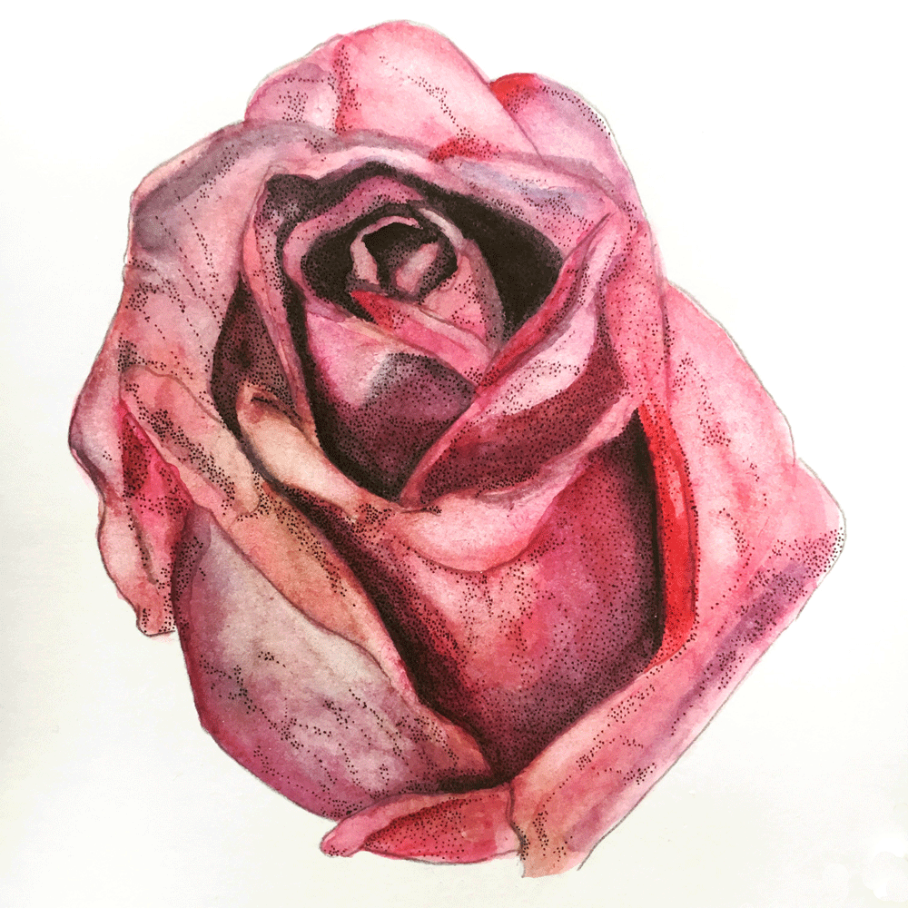 I started with a small painting of a rose that I made from our Thanksgiving bouquet.