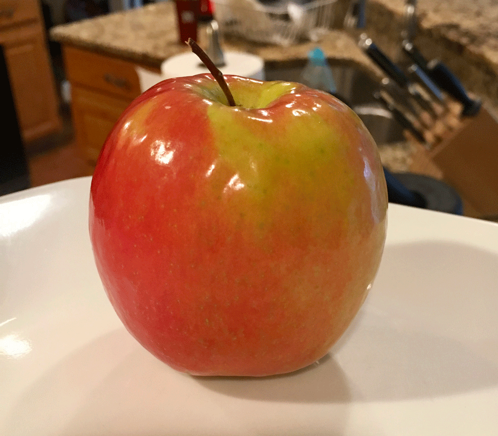 apple1.gif