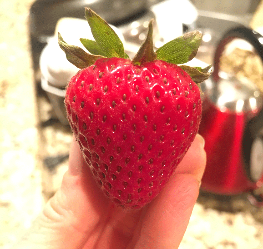 berry1.gif