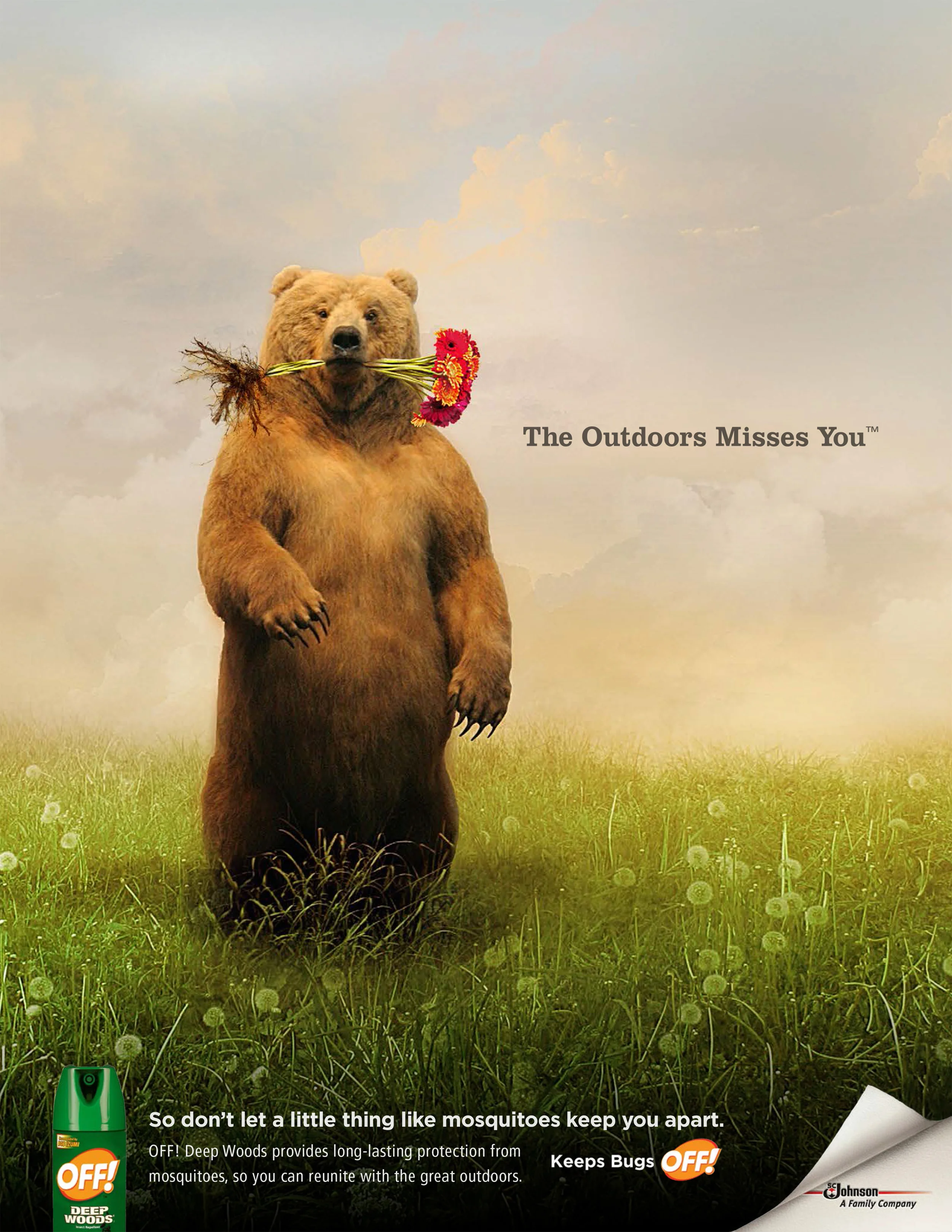 Print-Bear.jpg