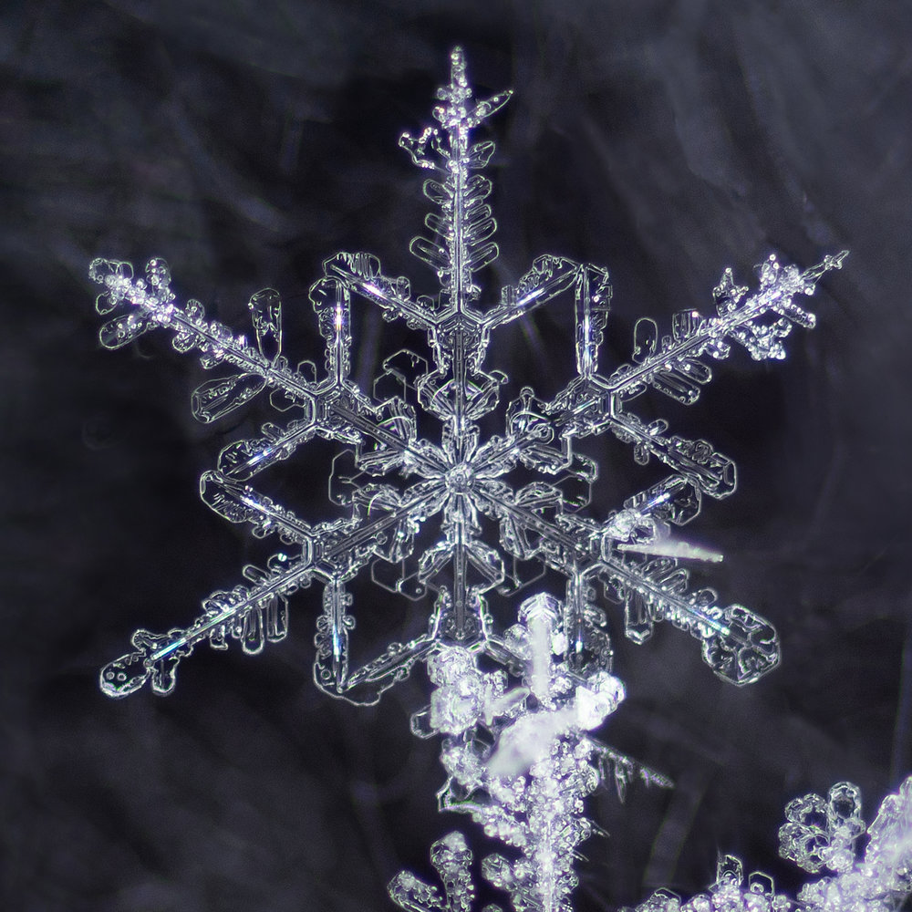 snowflake photography sample 1-3.jpg