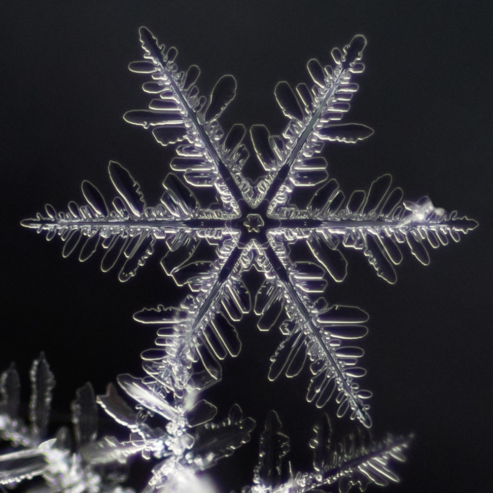 snowflake photography sample-5.jpg