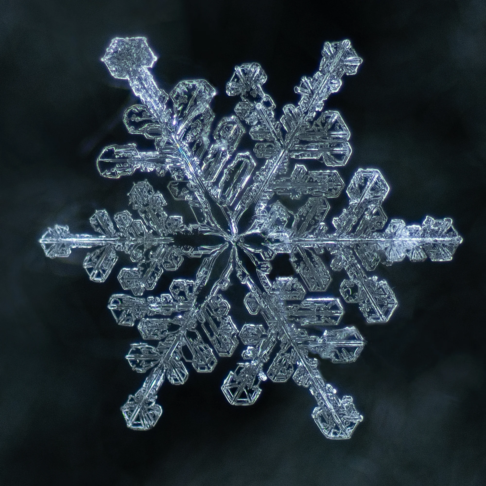 How to Photograph Snowflakes (and Blow Your Mind) Craig Goodwin How to Photograph Snowflakes (and Blow Your Mind) Craig Goodwin