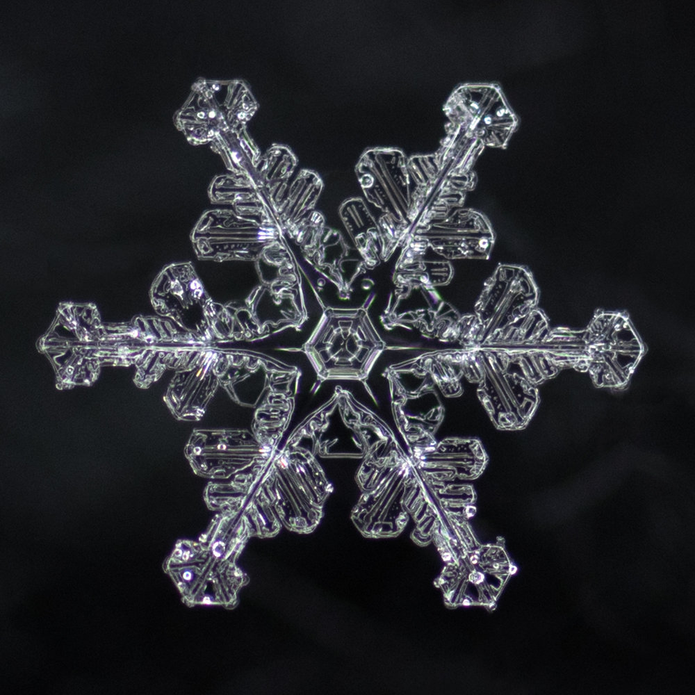 snowflake photography sample-6.jpg