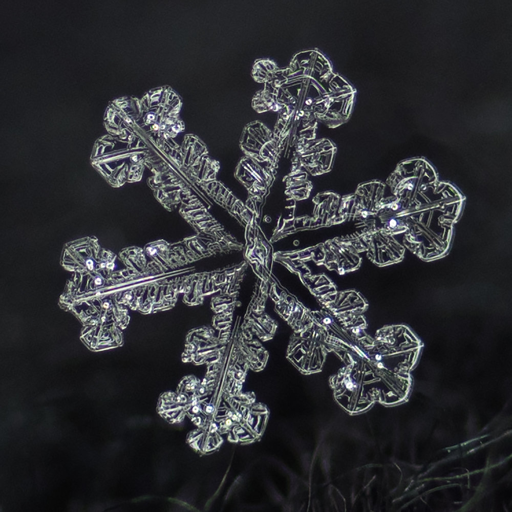 snowflake photography sample-7.jpg