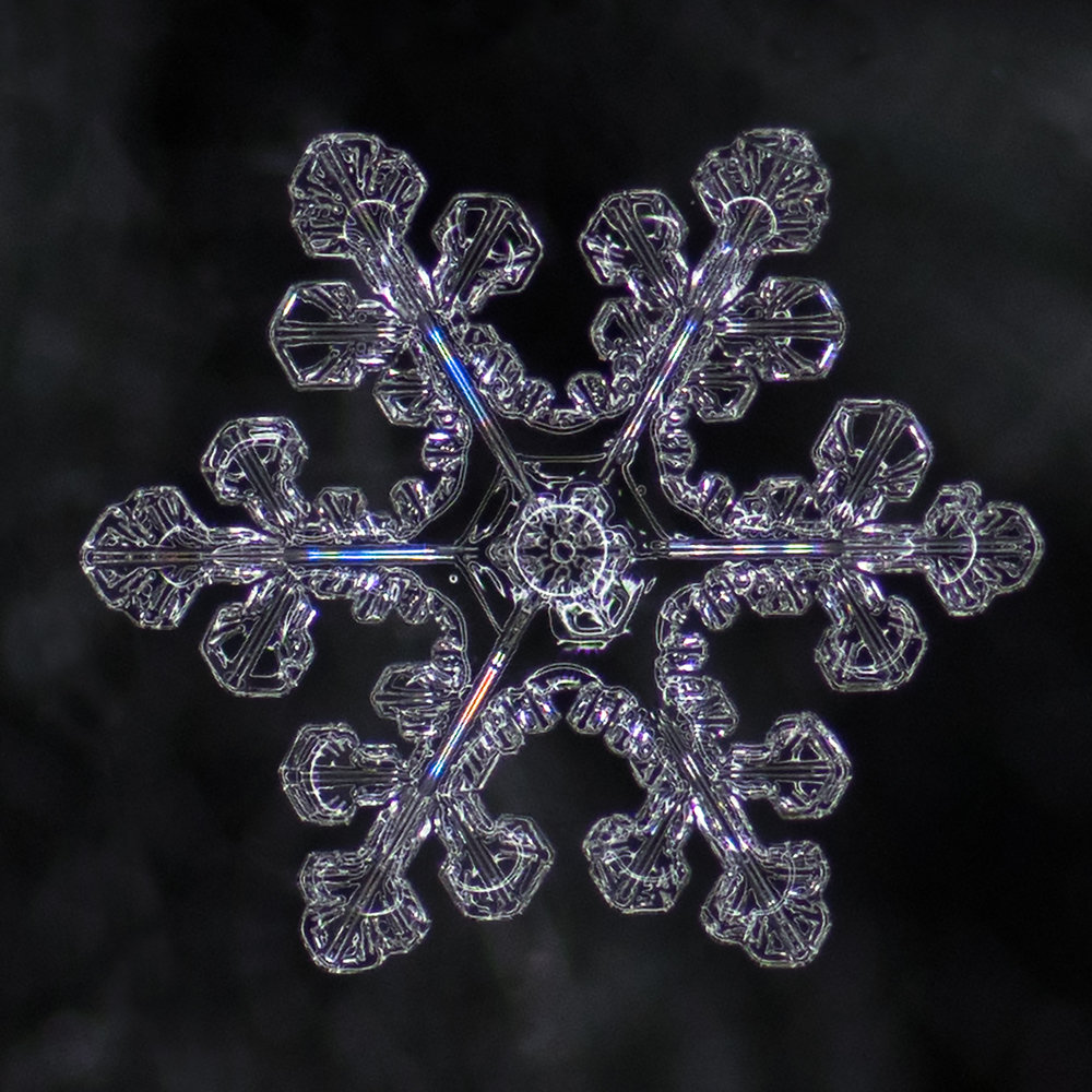 snowflake photography sample-8.jpg