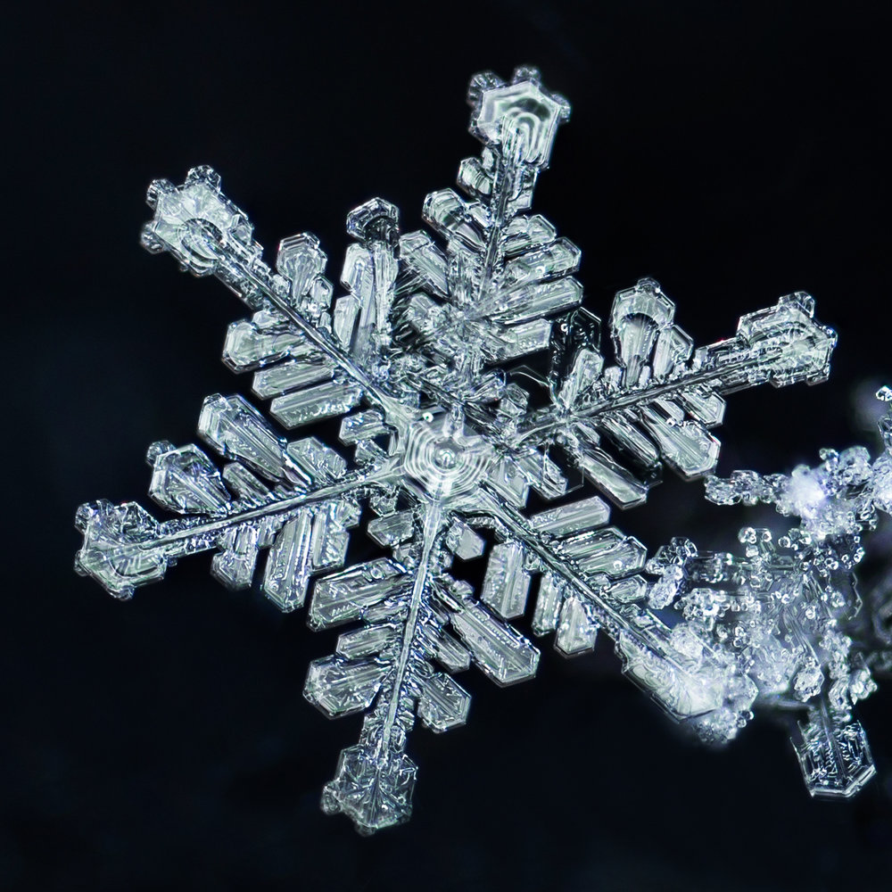 snowflake photography sample 1-8.jpg