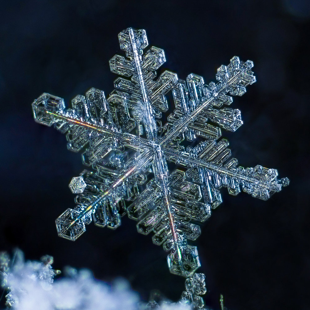 snowflake photography sample 1-7.jpg