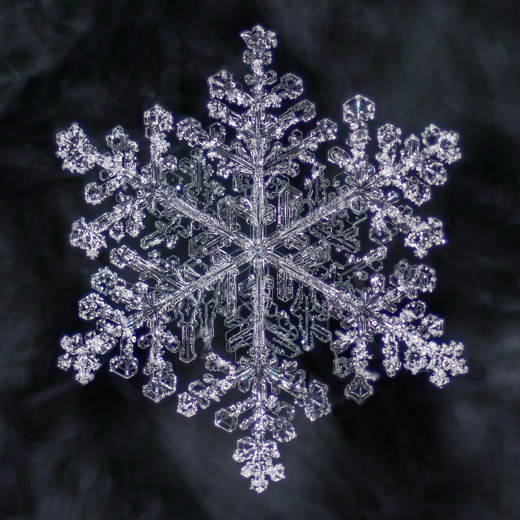 How to Photograph Snowflakes (and Blow Your Mind)