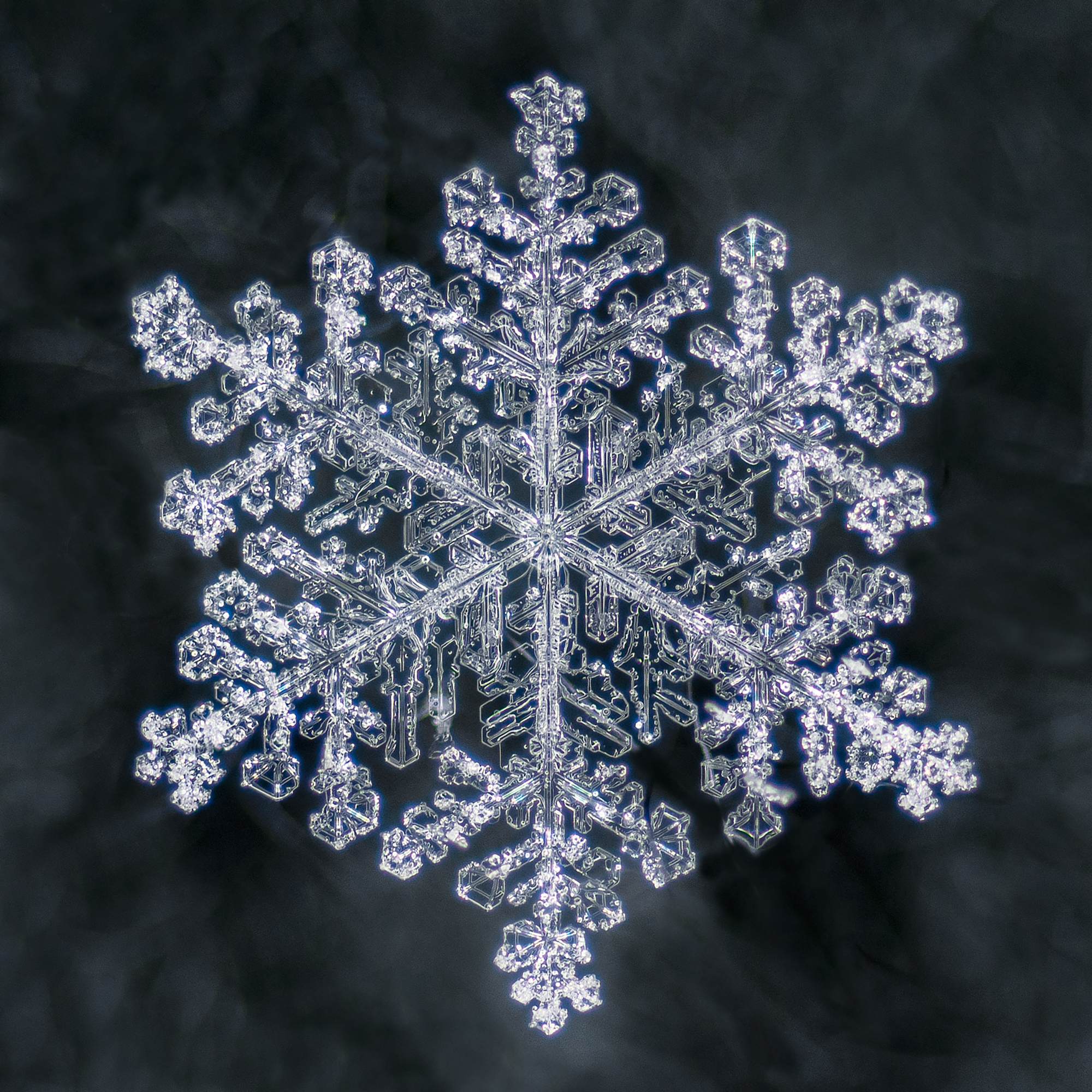 snowflakes-2.jpg