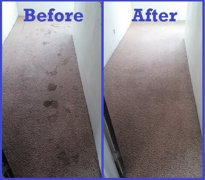 Before+and+after+Carpet (1).jpg