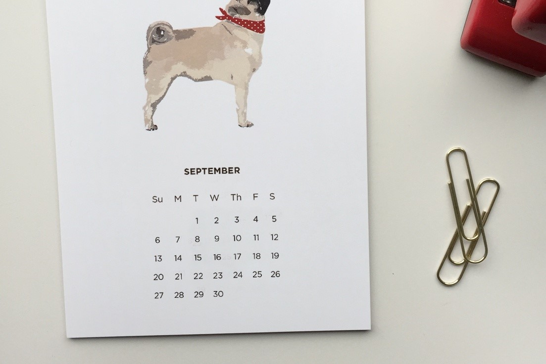 Magnetic Dog Calendar by Gus and Abby