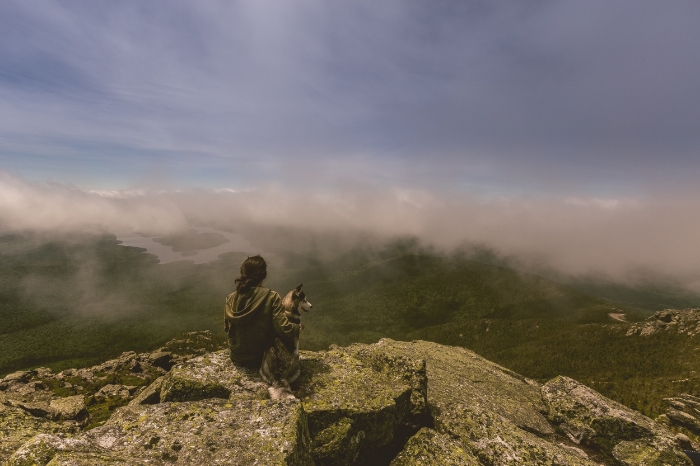 photo credit: Vladimir Kudinov unsplash.com