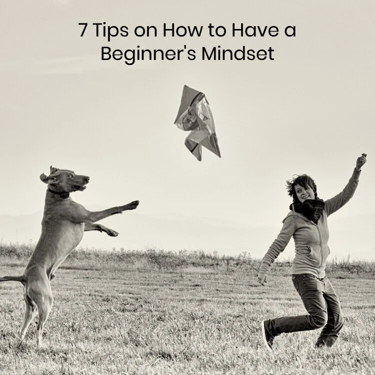 7 Tips on How to Have a Beginner’s Mindset
