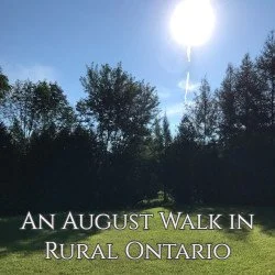 An August Walk in Rural Ontario