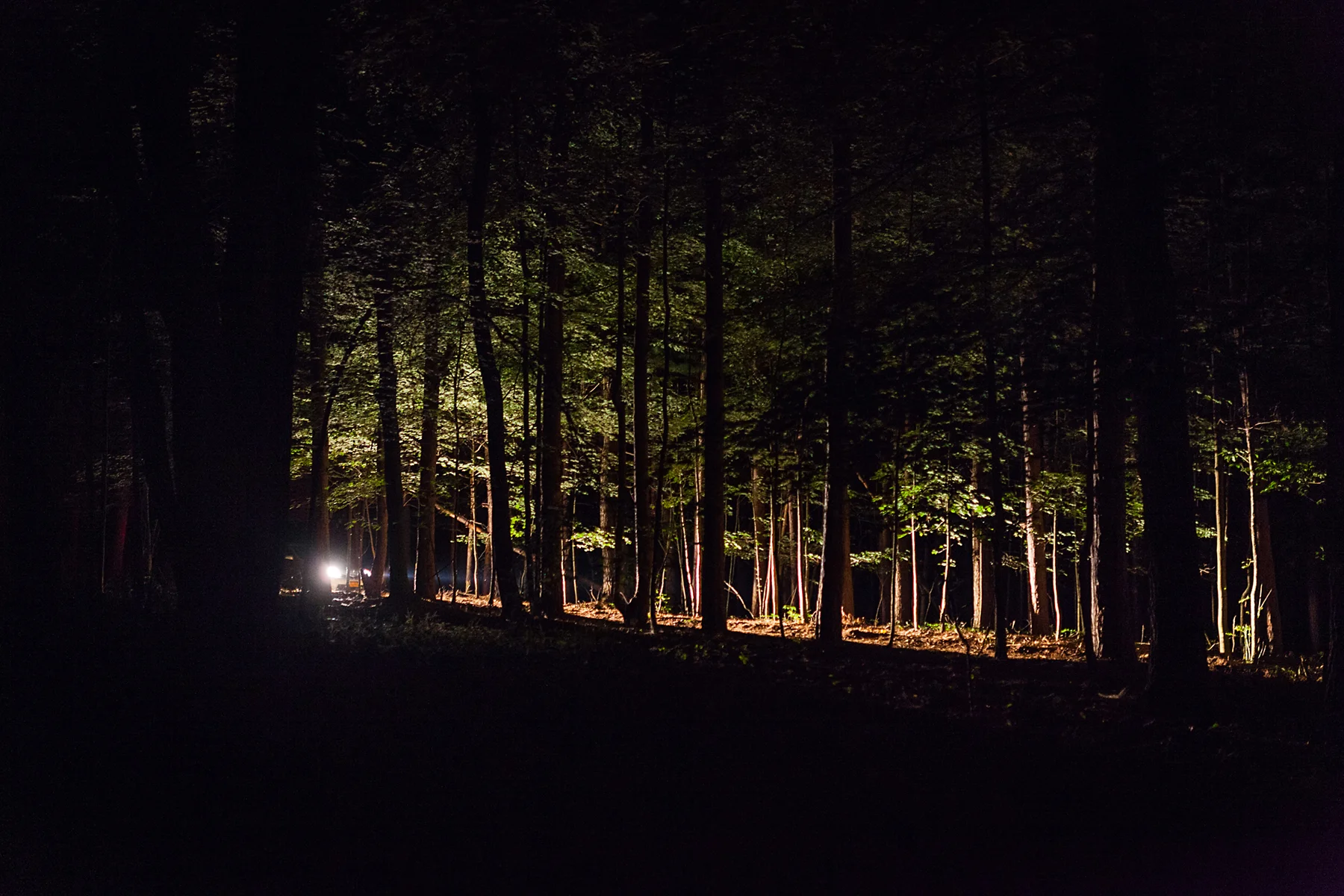 michigan-destination-wedding-summer-camp-wedding-at-circle-pines-camp-in-delton-michigan-oriana-koren-documentary-wedding-photography-078.jpg