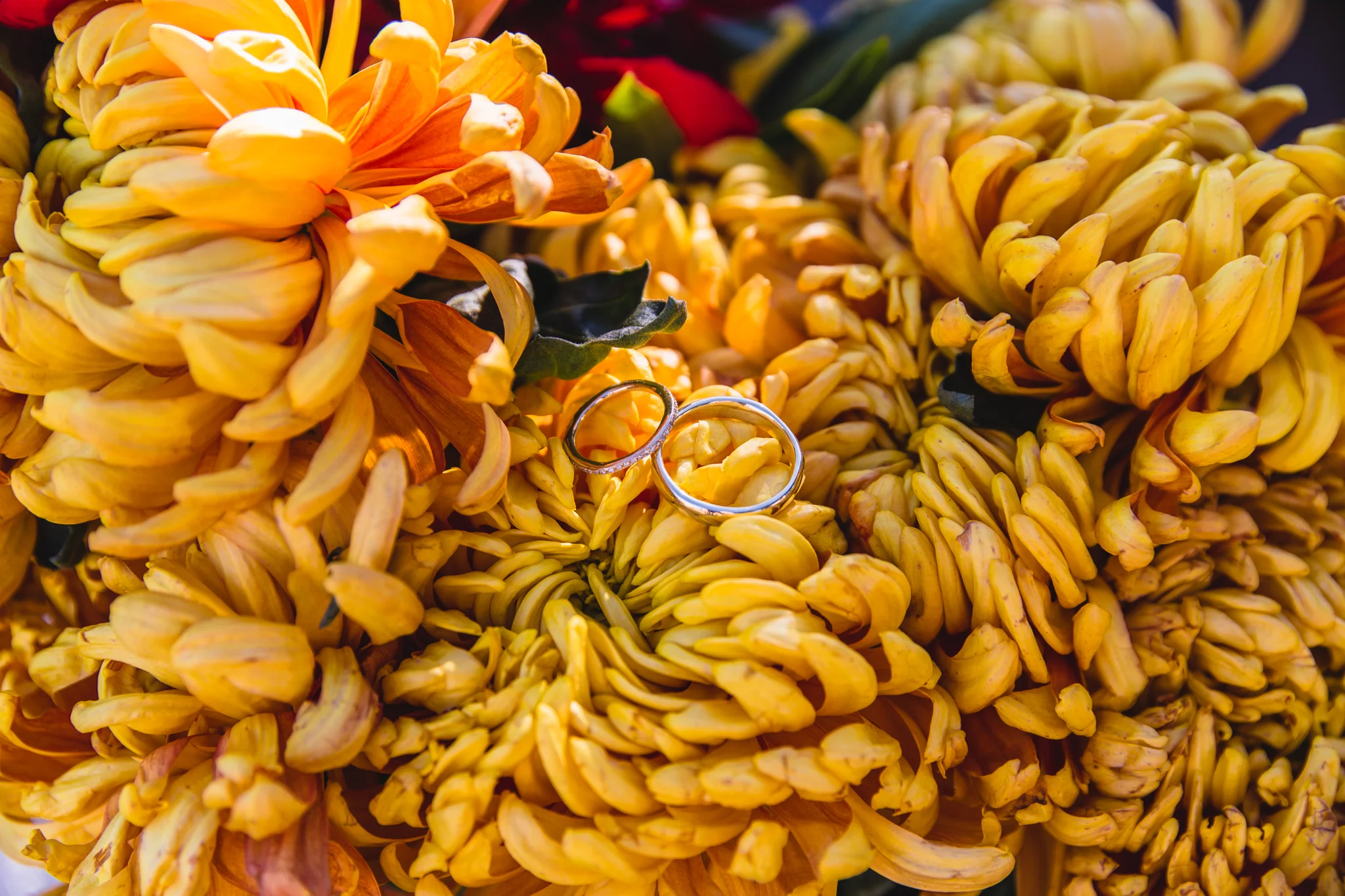 mexico-valle-destination-wedding-rebeccaylasotras-flowers-rings.jpg