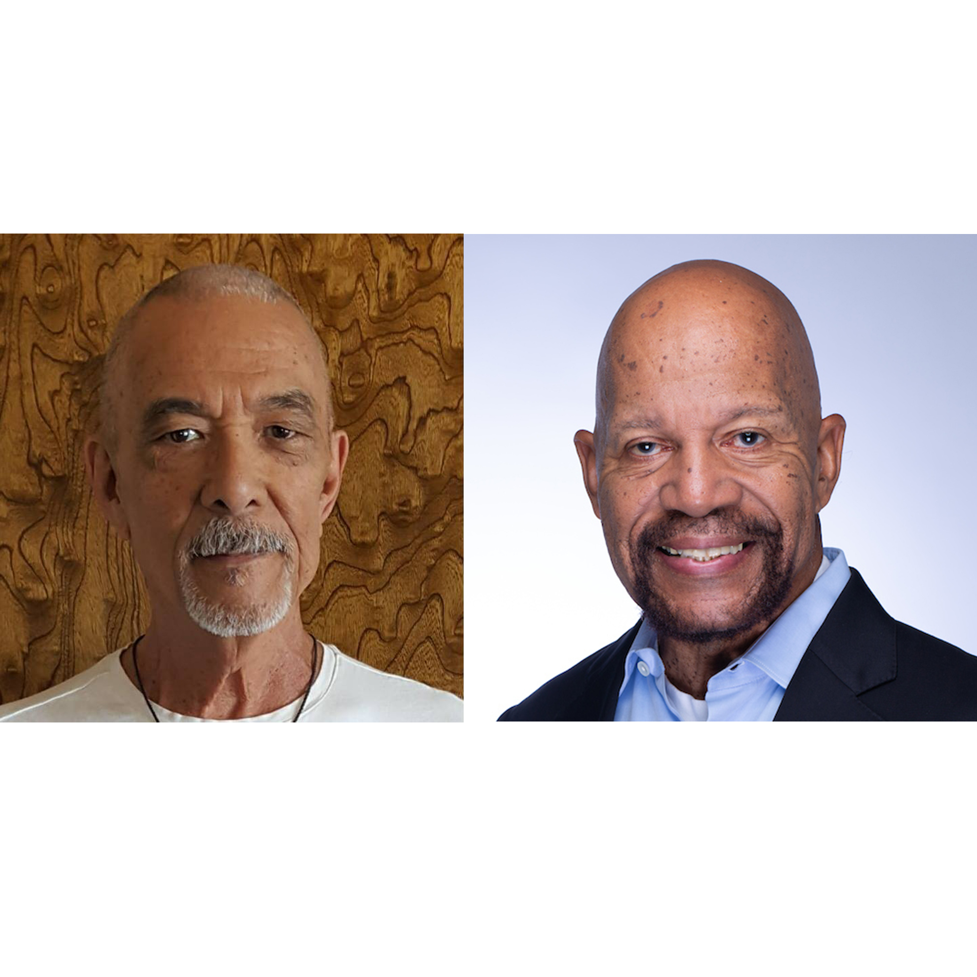 Executive Coaching or Counseling? Perspectives to Consider