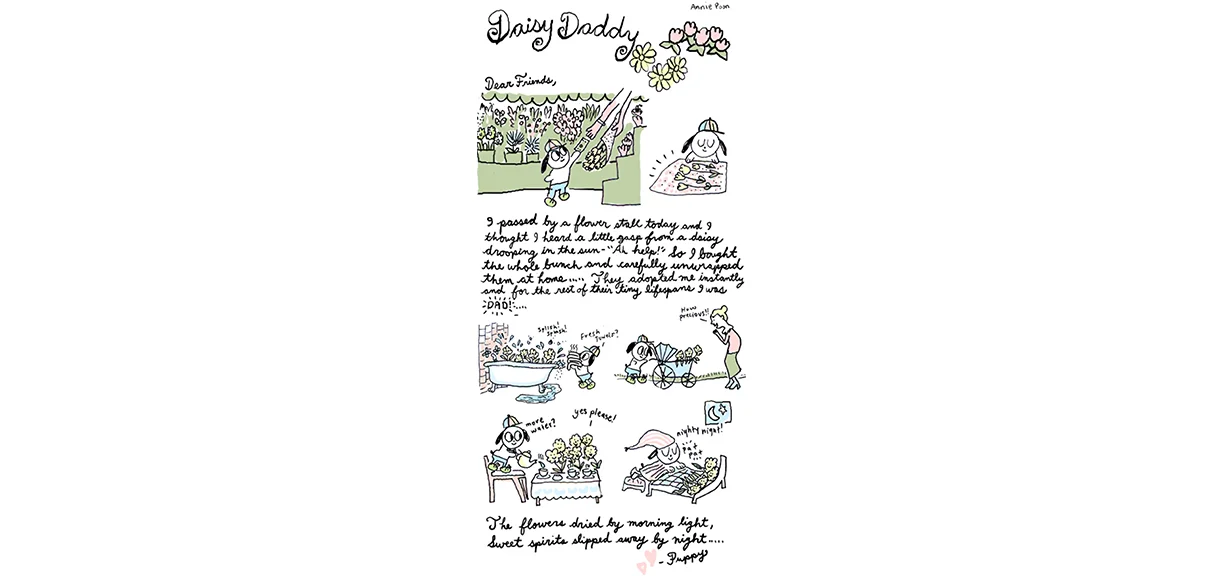 Daisy Daddy