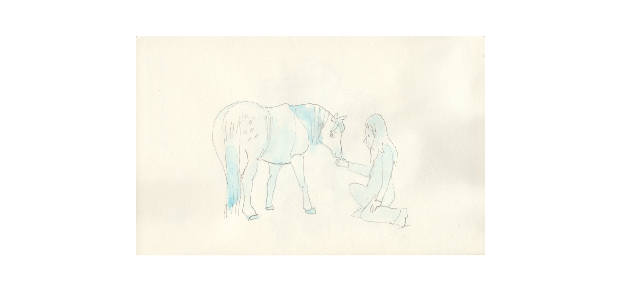 Training a Pony SQUARESPACE.jpg