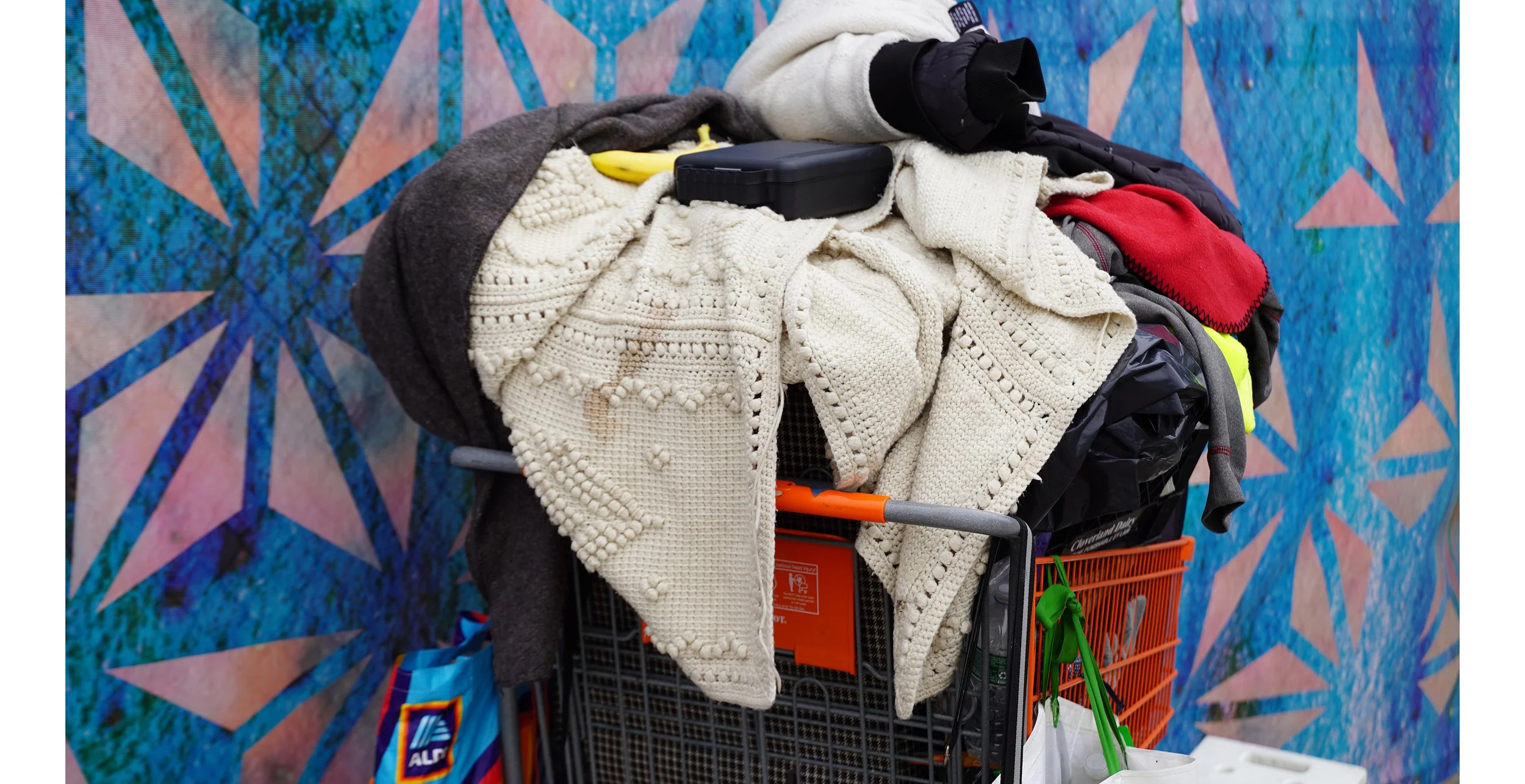How were the items in this cart chosen? What made them desirable to the person who gathered them?