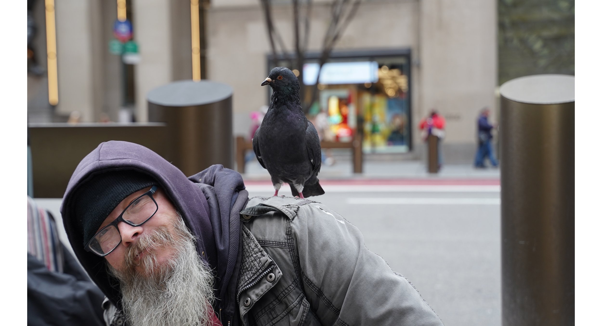 Bird- check! Will has got the whole package. My husband spotted him by MoMA.