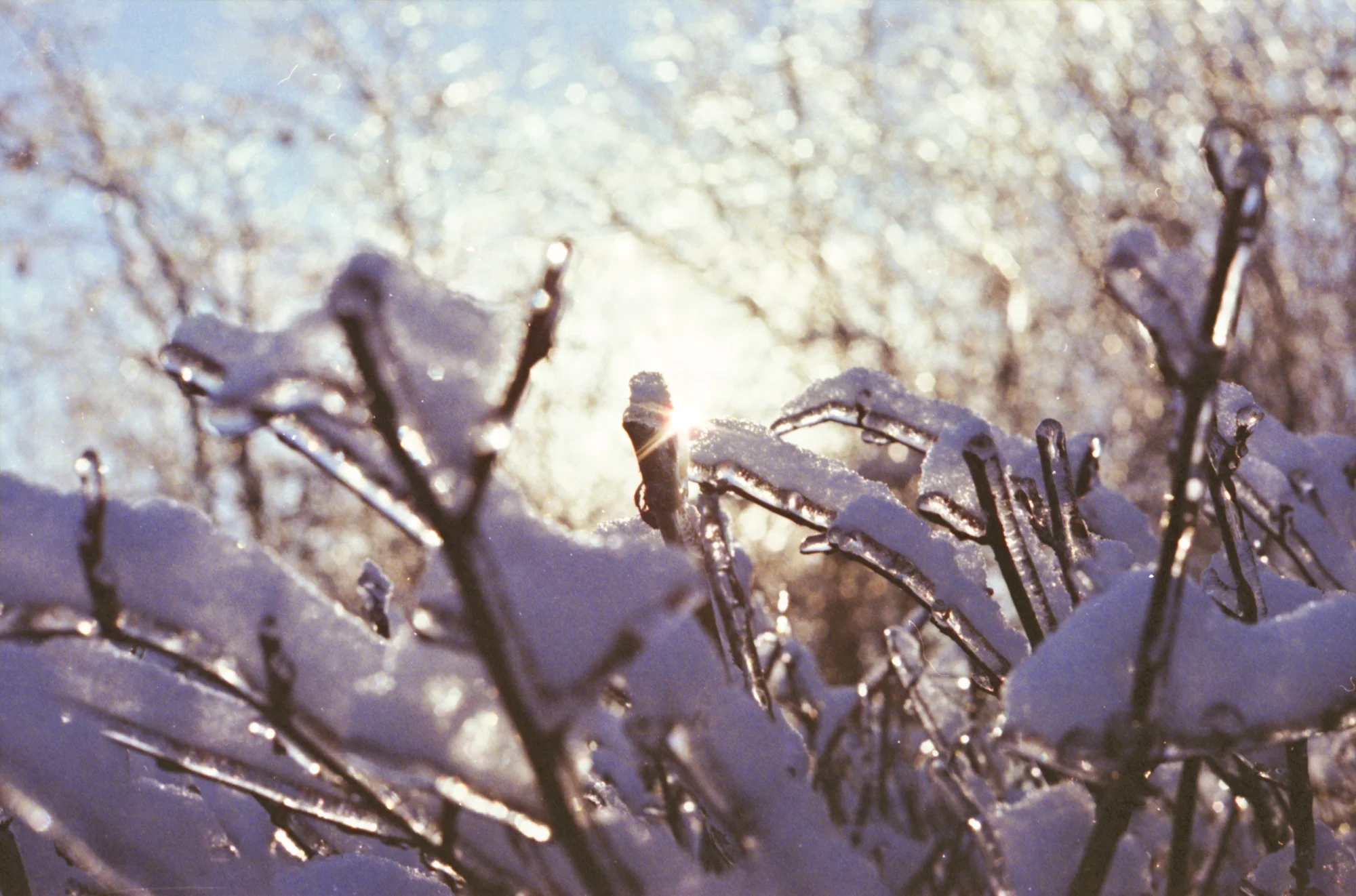 Just developed film from Montreal.