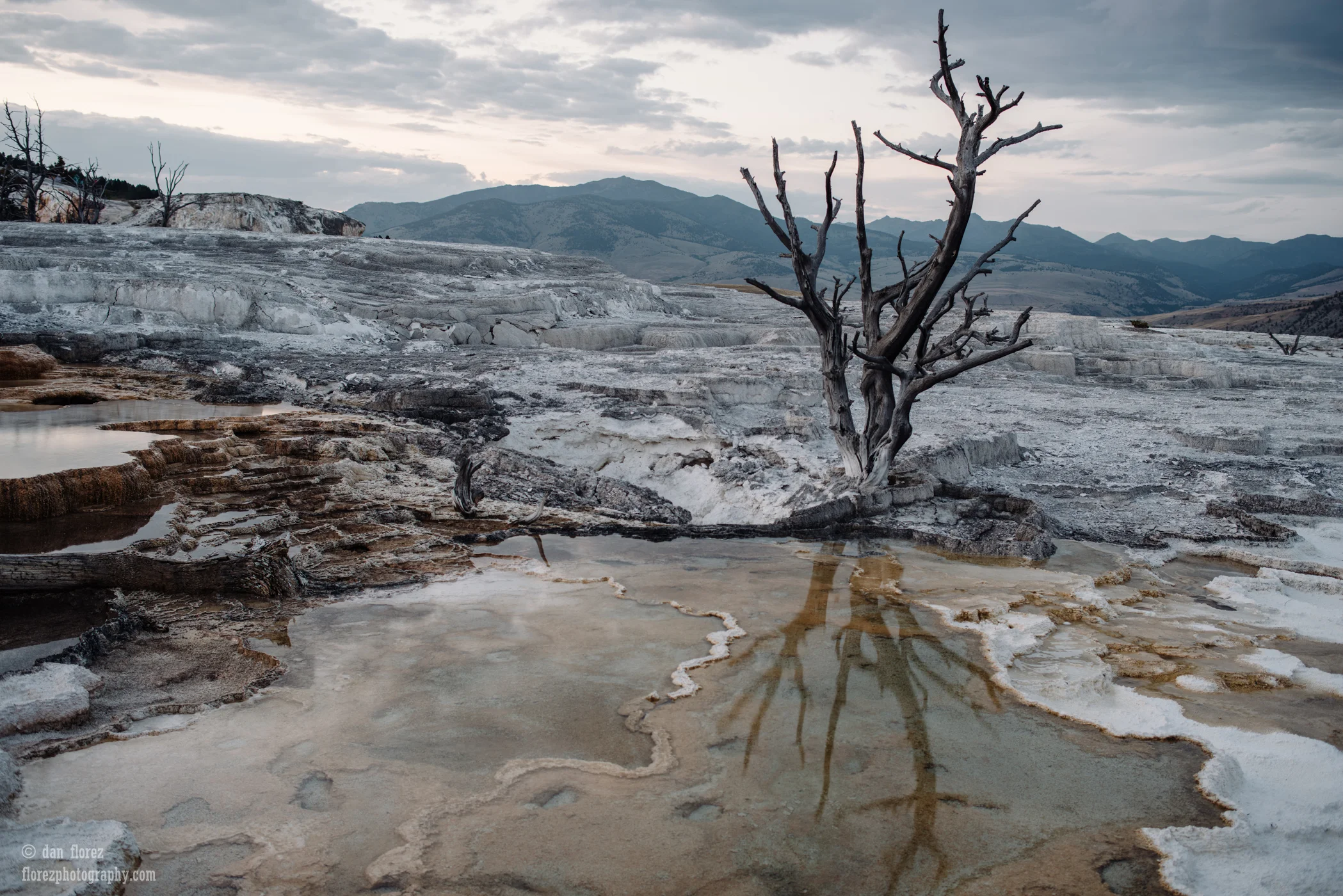 Mammoth Hot Springs