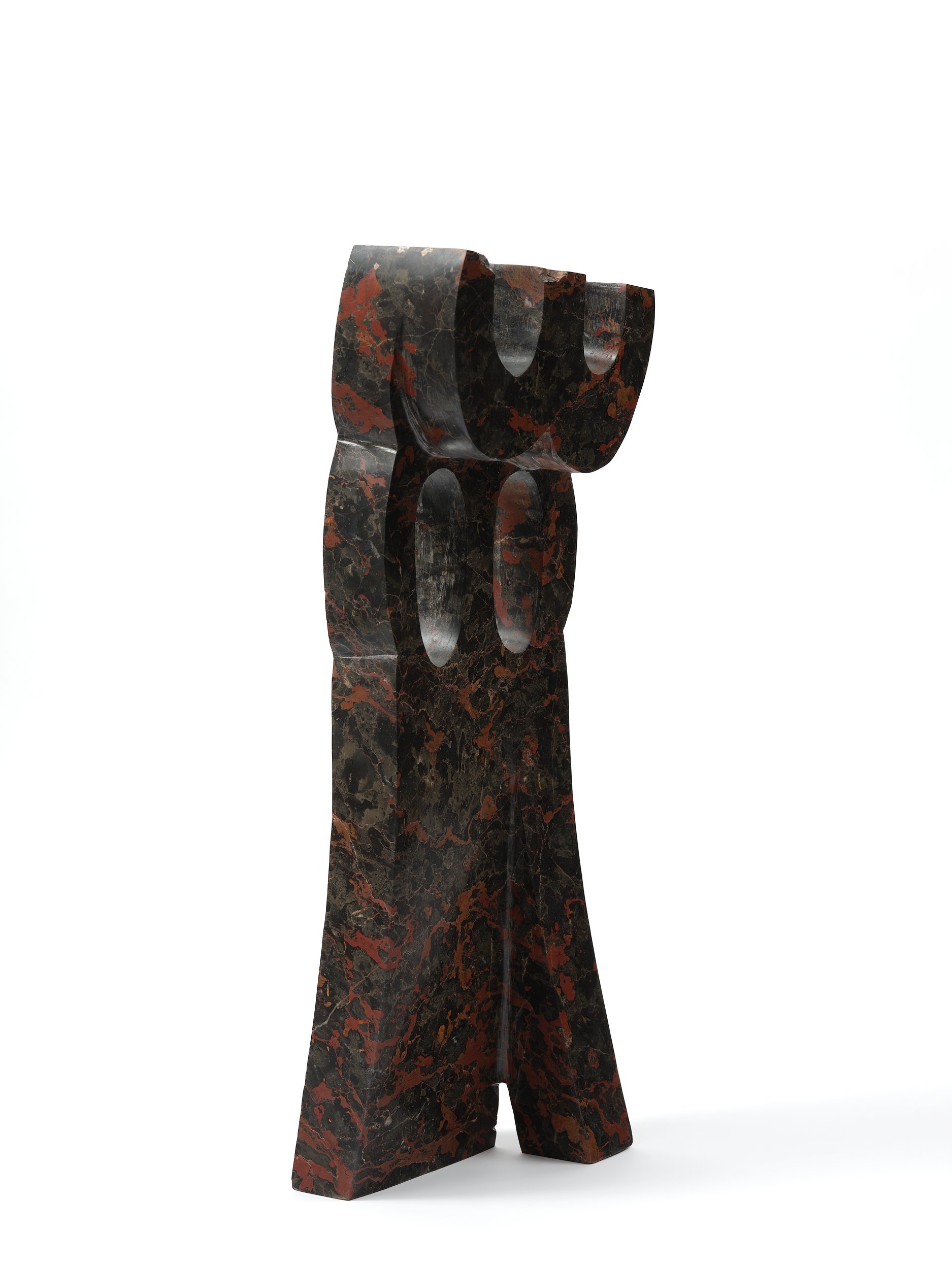 “Details” The Giant  Schnauzer