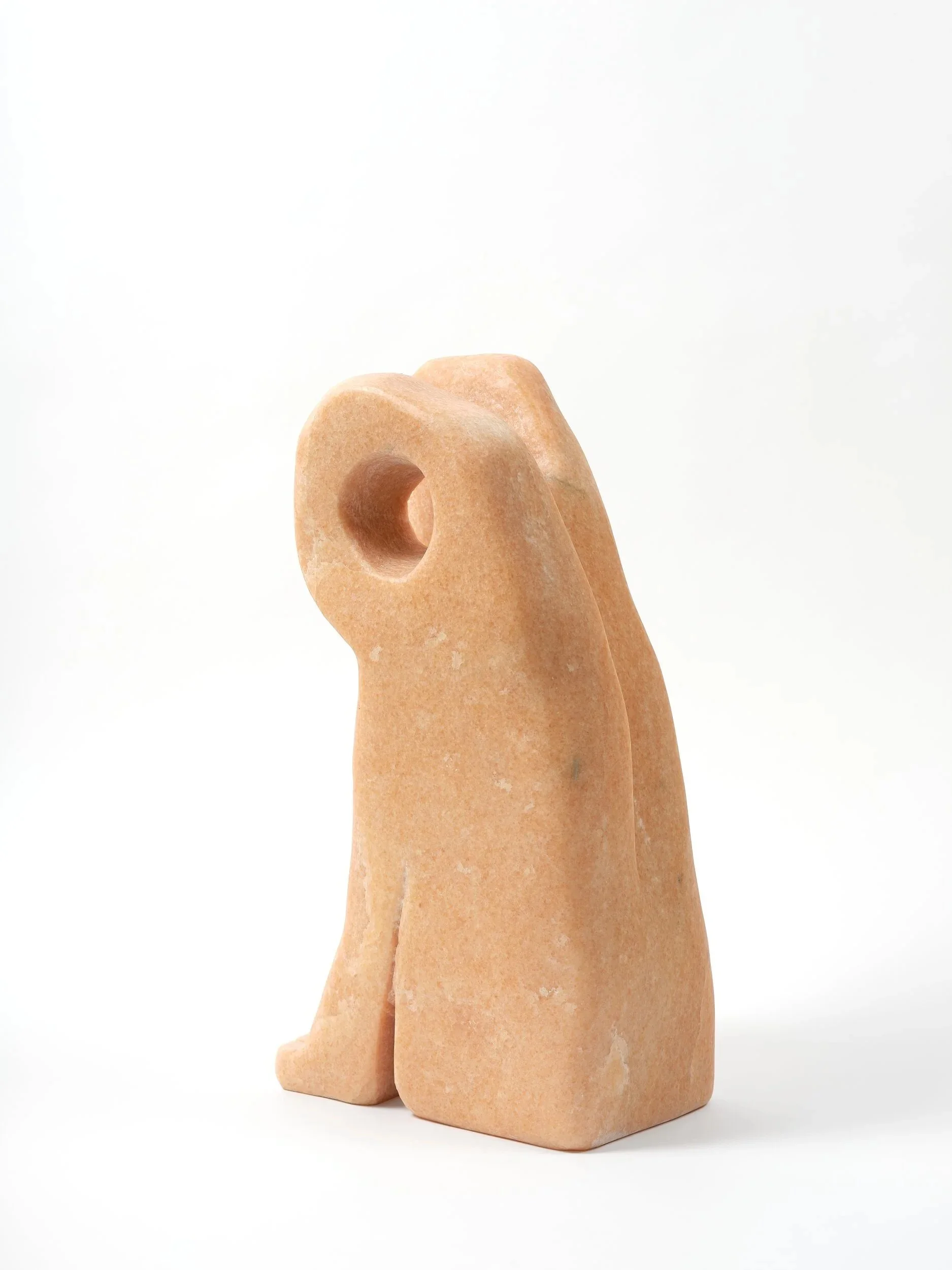 “Doorknob” The  Pink Xoloitzcuintli