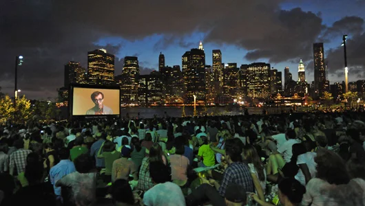 Grassroots Movie Theaters- Concluding Idea Series, #3