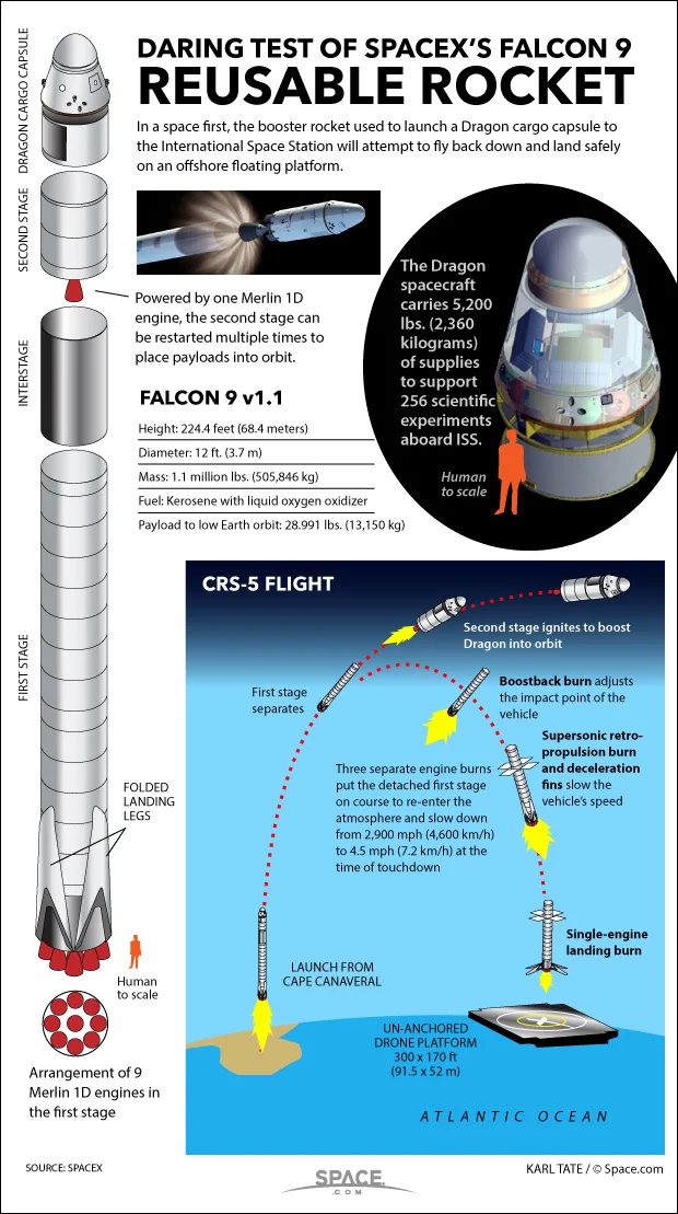 Image Credit: SpaceX and Karl Tate for Space.com