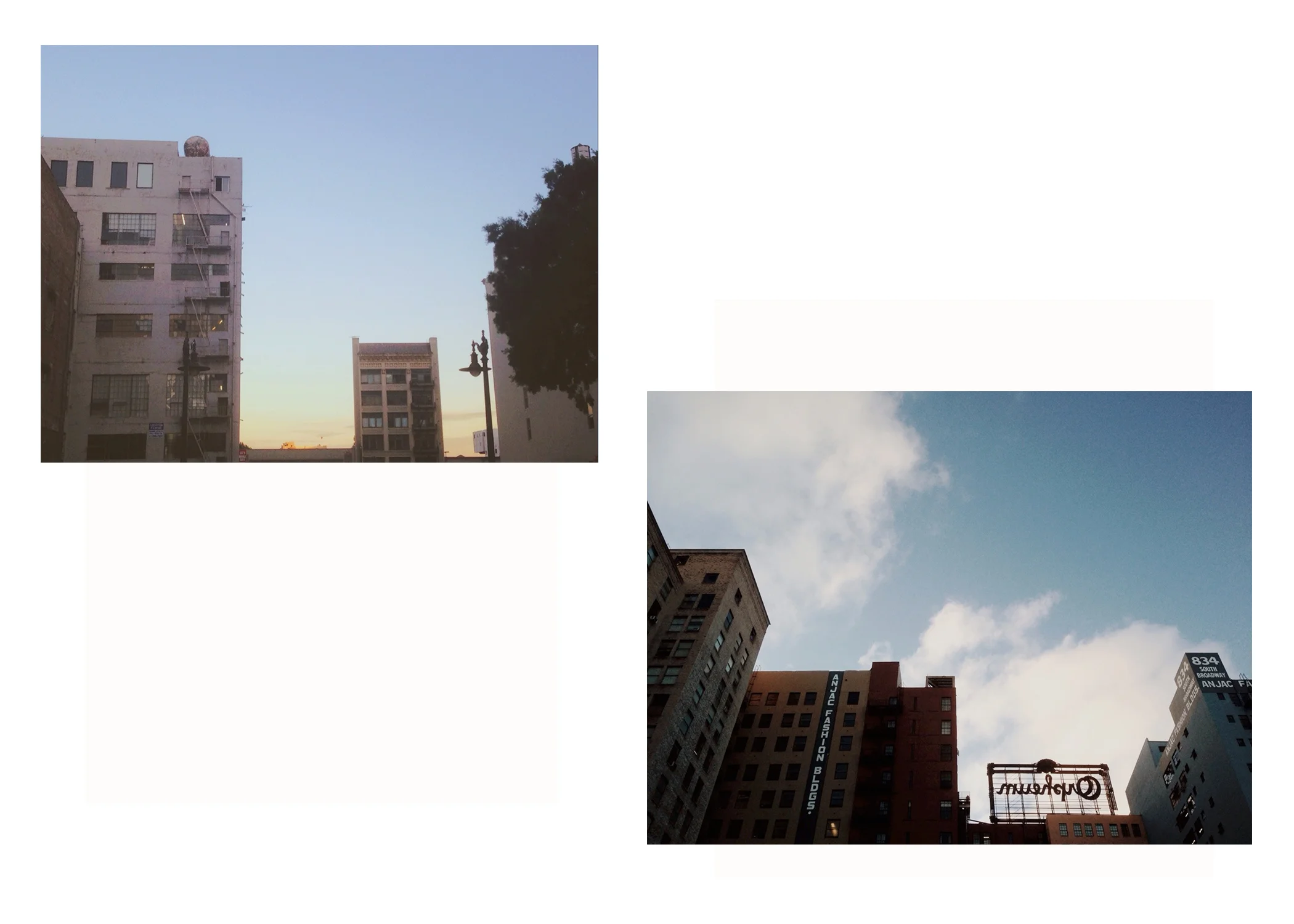 Portfolio_Wanderlust_2019_ShelleySom_005.jpg