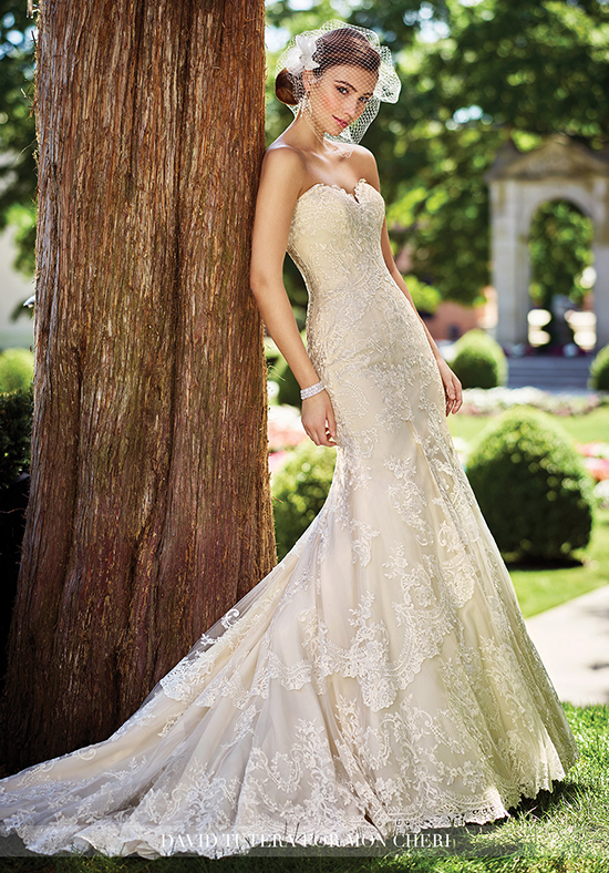 Wedding Dresses 2017
