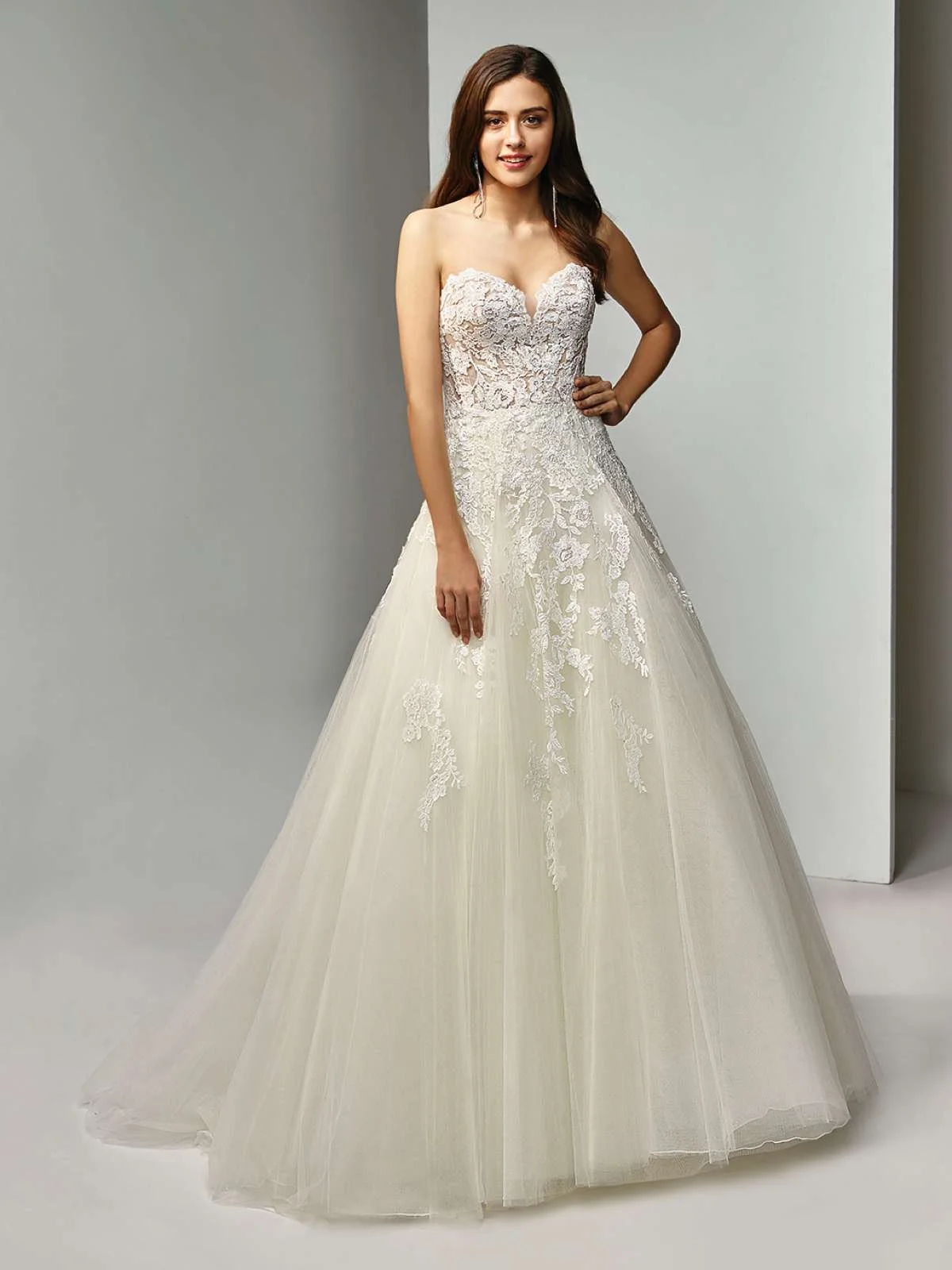 Beautiful_2019_Pro_BT19-8.1_Fro_web.jpg