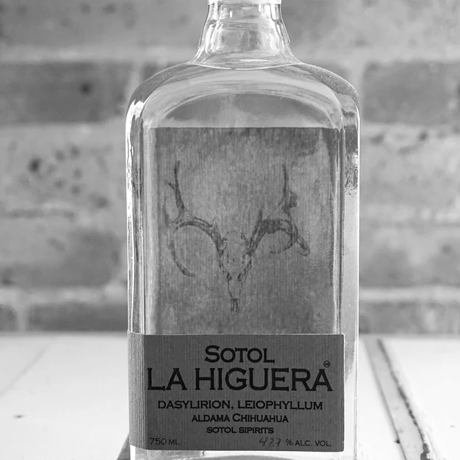 LA HIGUERA LEIOPHYLLUM Sotol | Aldama, Chihuahua