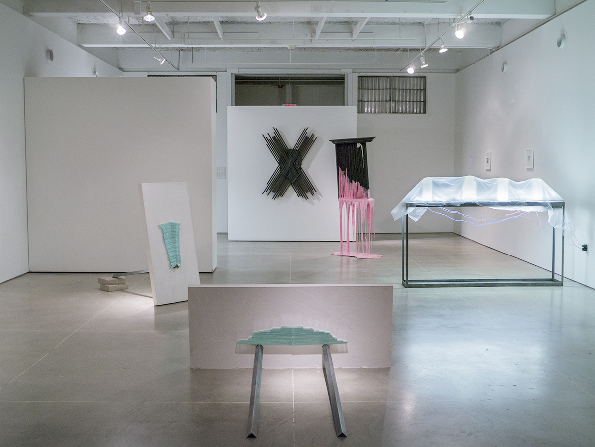 Constituent Crimes 2015 installation view