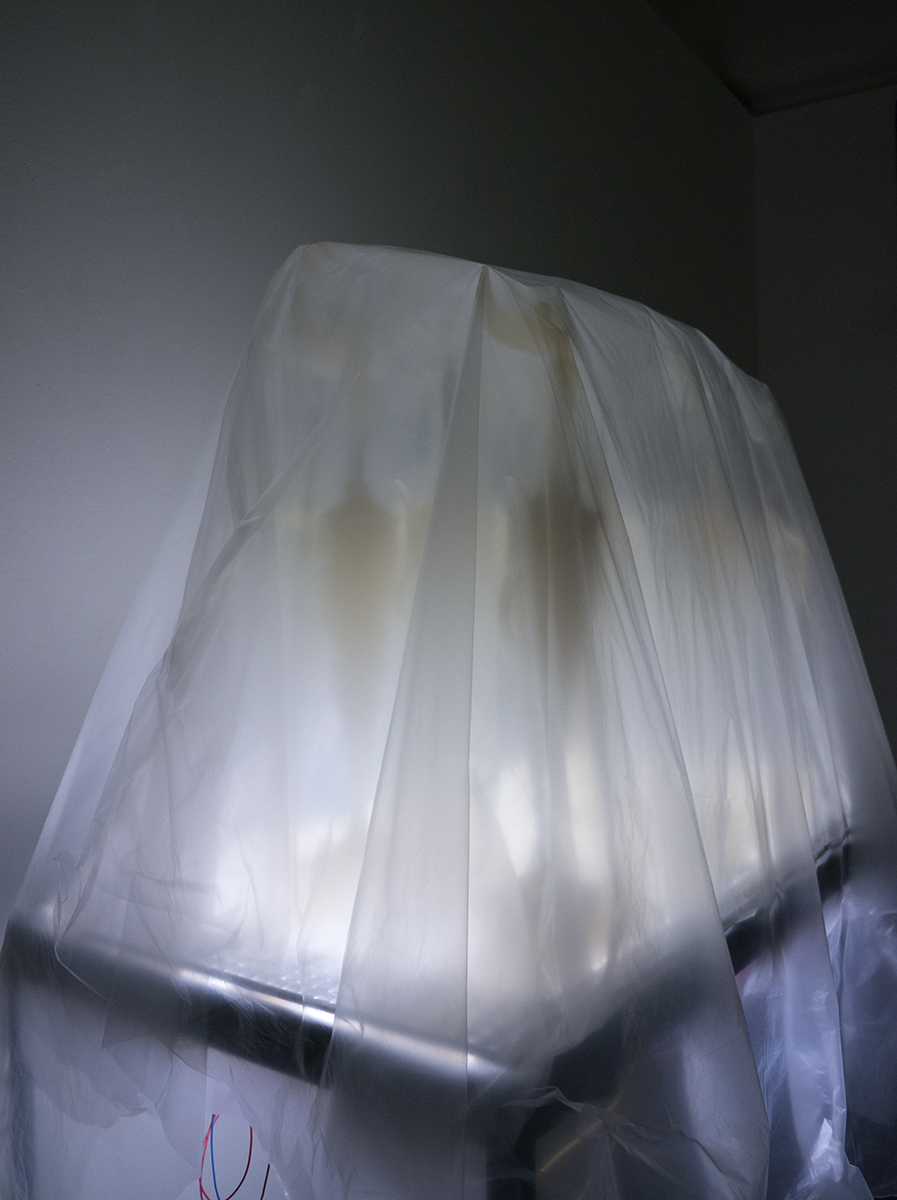This has gotten out of hand 2015 cast glycerine, steel, fluorescent light, visqueen