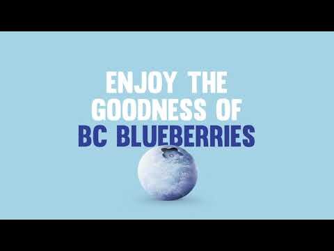 BC Blueberries - Hockey