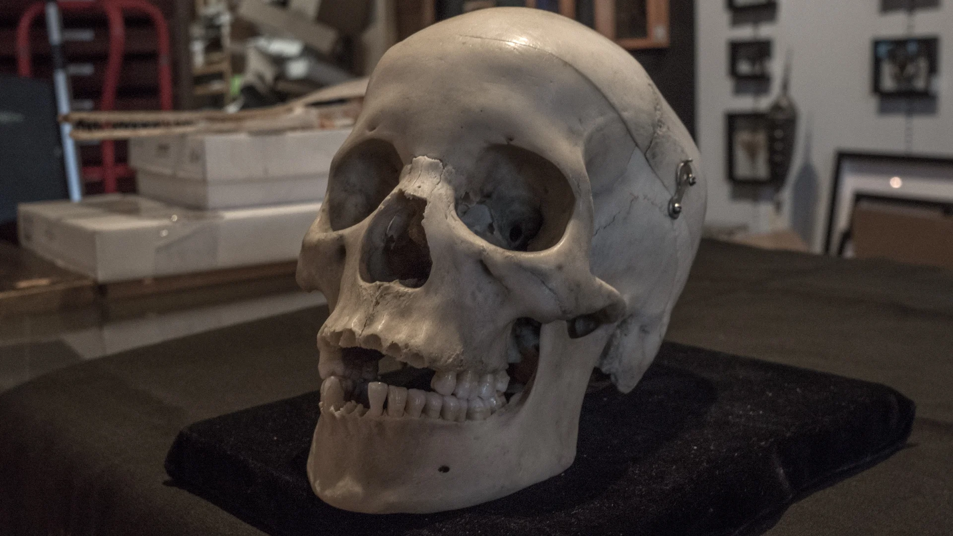 P1250199 (0-00-00-00).jpg