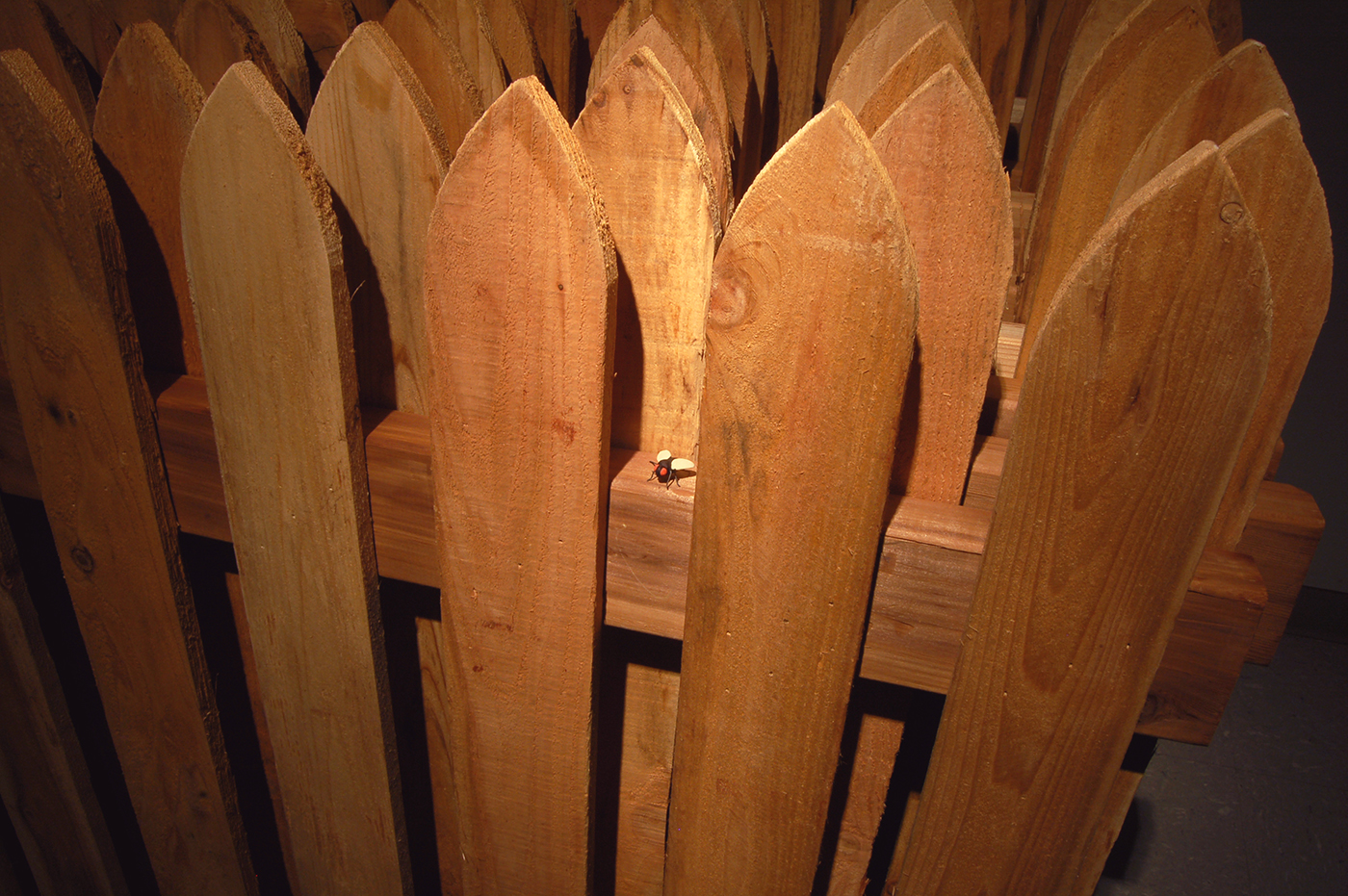 6 Fence1.jpg